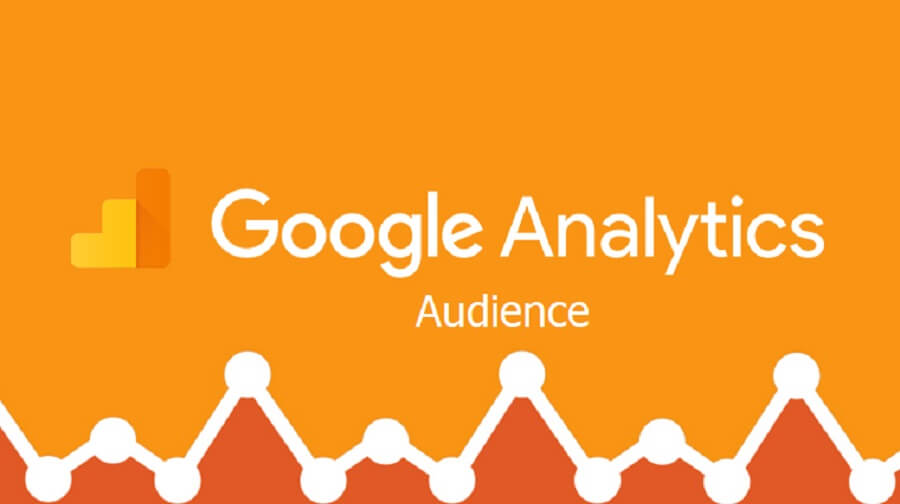 راهنمای کامل گزارش Audience در گوگل آنالیتیکس